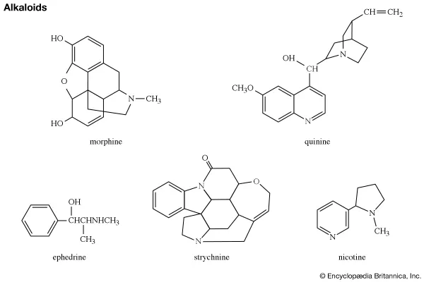انواع آلکالوئید