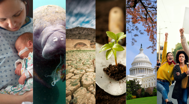 پتروشیمی چالشی برای محیط زیست