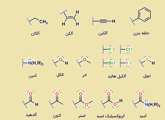 انواع گروه عاملی