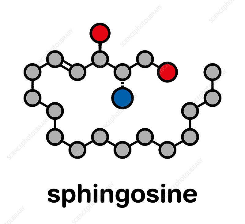 ماده اسفنگوزین