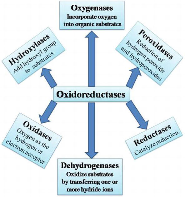 انواع اکسیدوردوکتاز ها