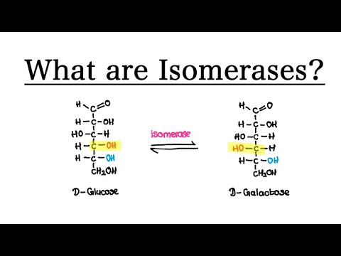 ایزومراز ها