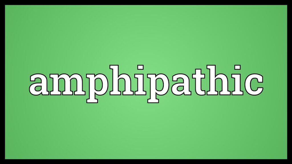 آمفی پاتیک ها