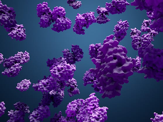 پروتئین های نوترکیب