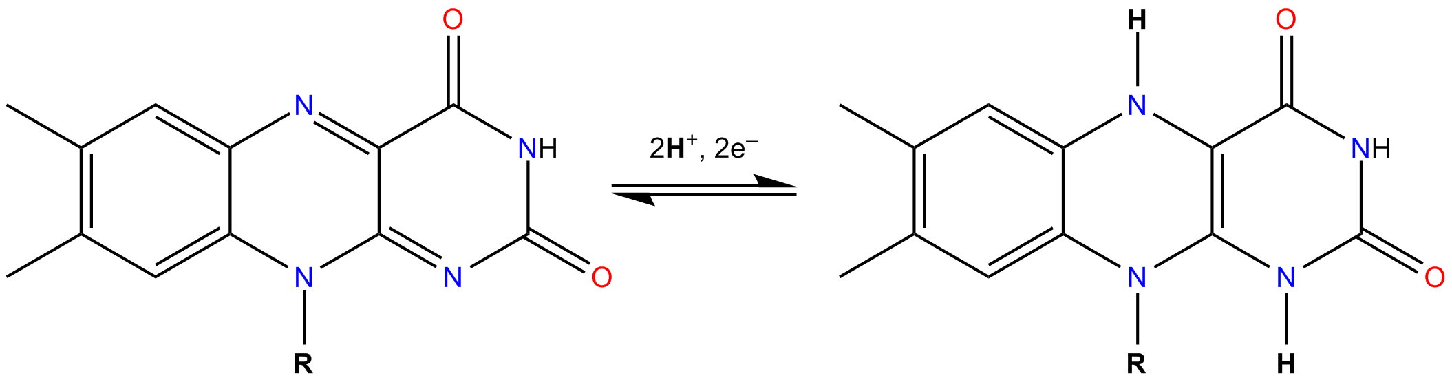 تبدیل FAD به FADH2