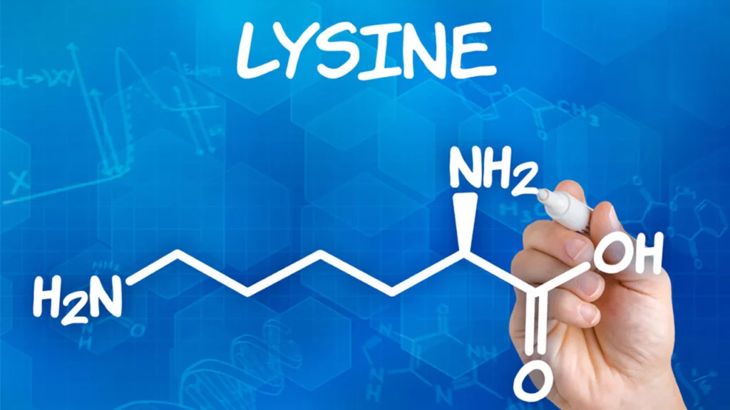 آمینو اسید لیزین