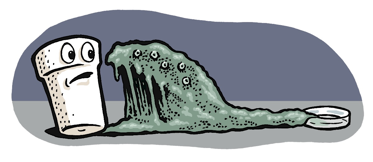 قارچ های پلاستیک‌ خوار