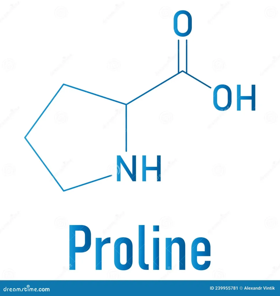 آمینو اسید پرولین