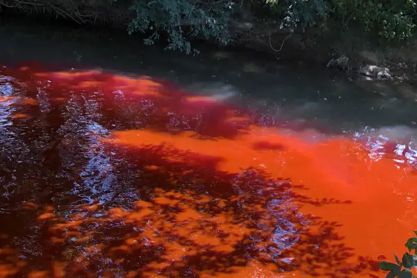 رنگدانه رودامین