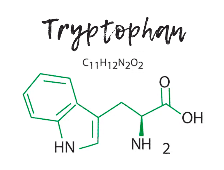 آمینو اسید تریپتوفان