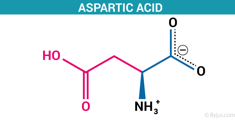 آسپارتیک اسید