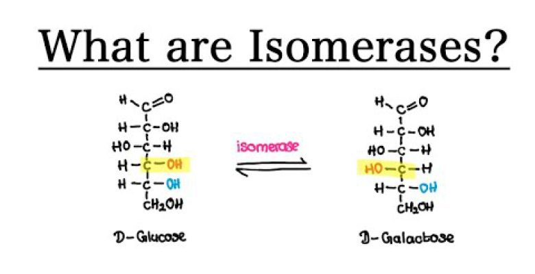 ایزومراز ها