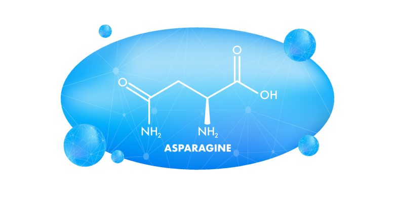 اسپاراژین
